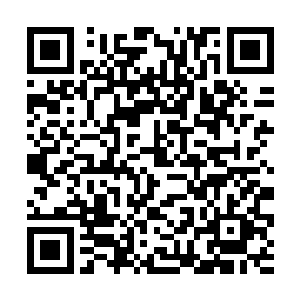 雪象那巨大的鼻子直接将面前的五大凶兽砸飞了出去二维码生成