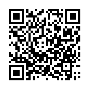 零城的官方组织里还有许多其他的团队二维码生成