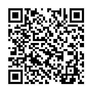 零攻零防的东西也无法在下回合给玉藻前提供加成二维码生成