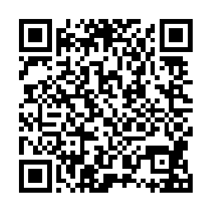 零星垂降的藤蔓结后面应该就是供客人们住宿的山壁石洞二维码生成