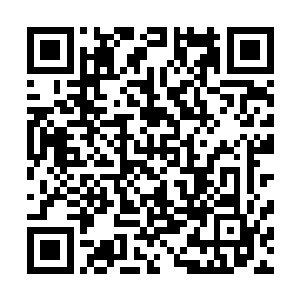 零星岛陆大部分被一些不知道修行了多少万年的巨擘所占据二维码生成