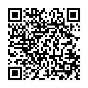 雷丁顿不重视这里的原因就是圣徒世界纯粹是个意淫世界二维码生成