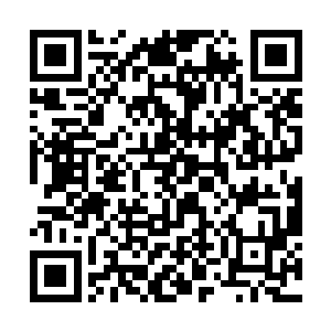 雷元嘉和雷武星这种嫡系当中也是出于高层位置的人二维码生成