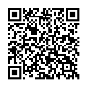 雷克多用力的想要将苏阿蛮的手中的伞给拽出来二维码生成