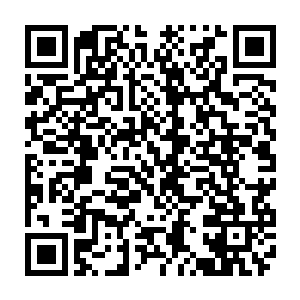 雷克斯那两个女弟子闻言心里面别提是什么滋味了……都不由自主地暗自后悔二维码生成