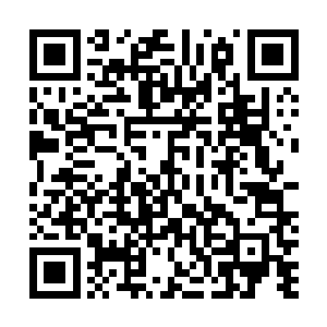 雷厉风行的手段瞬间就是让安若风与潘思明有些招架不住二维码生成