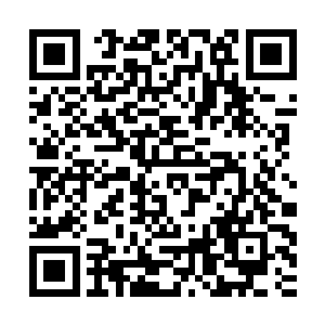 雷大长老注入精神力和普通天阶一二星长老注入精神力是不同的二维码生成