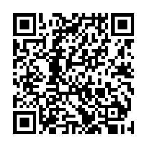 雷天也不知道自己的修炼速度为什么会一下子加快这么多二维码生成