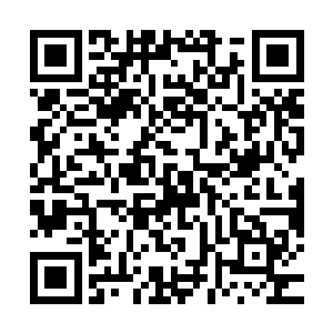 雷天也仅仅是证实了整个禁地就是被一个巨大的残破法阵所笼罩二维码生成