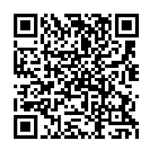 雷天仔细的看了一下那两个十级武霸所在的位置二维码生成