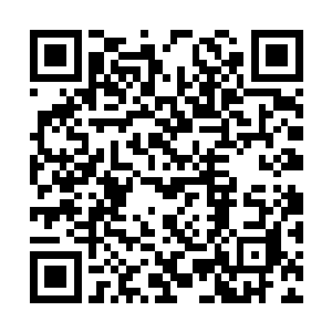 雷天以前多次淬炼身体而带来的潜力都被发挥出来二维码生成