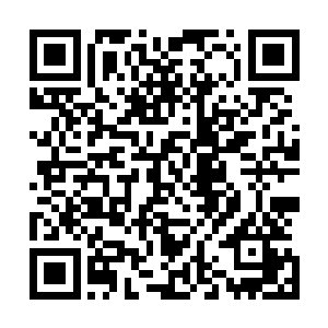 雷天和金光都是被一道从矿脉深处传来的暴怒气势给惊醒的二维码生成