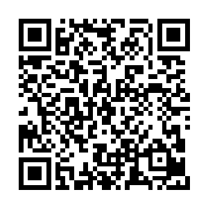 雷天在脑海里仔细梳理了一下可能对他动手的人二维码生成