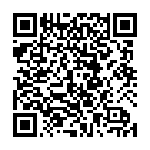 雷天总算是找到了一个可能会出现九龙环绕峡谷的地方二维码生成