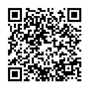 雷天想起了天启之旅里和凤凰一起走过幻象的情形二维码生成