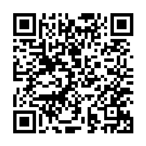 雷天的思绪一下子就被这个强大的灭绝杀阵给吸引住了二维码生成