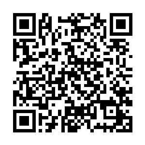 雷天的灭灵绝元仅仅是短暂控制了一下两个七级魔候二维码生成