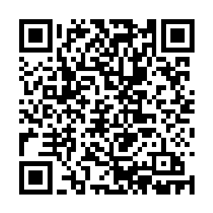 雷天的耳朵里只剩下了长枪在空中刺过的呼啸风声二维码生成