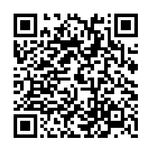 雷天的身体居然是瞬间消失在了妖族头子的面前二维码生成