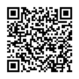 雷天直接就把这堵墙放置在了通往宫殿的大门口二维码生成