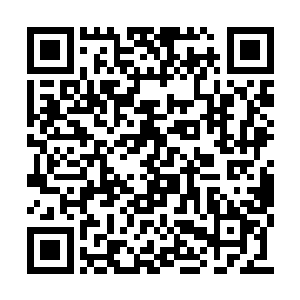雷天立刻就把自己的全身都仔仔细细的看了一边二维码生成