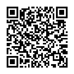 雷天赖以生存的各项技能在这一刻都像是没用了一样二维码生成