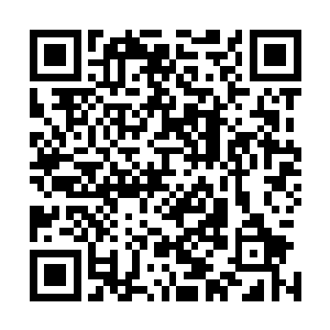 雷天距离那些差不多把半个天空都遮住的鞭影只有五六十米二维码生成