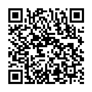 雷天跟着钱大年来到第八层的另外一间很大的密室之中二维码生成