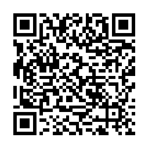 雷奥当时就给你许了侍女的身份而不是赶走变成奴隶二维码生成