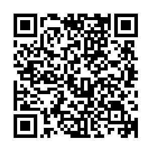 雷奥院长已经明确指明在此期间俞飞博士的工作由俞皓全权负责二维码生成