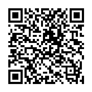 雷小天和平安医馆从今以后就彻底的从这个世界上消失了二维码生成