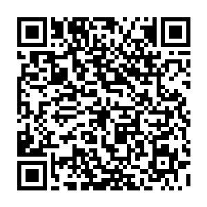 雷廷旭已经想象出韩风被自己一拳击成重伤躺在床上休息凄惨一个月的惨状二维码生成