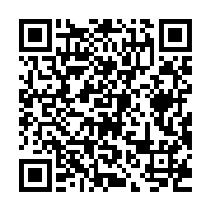 雷成虎是比四大选帝侯以及万界商盟这些行商更可怕的最大威胁二维码生成