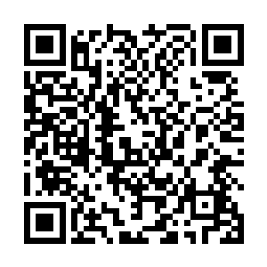 雷成虎的残阵中也勉强涌来数万道有气无力的光柱反击二维码生成