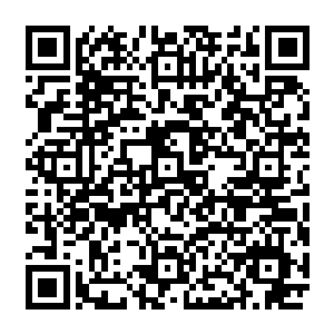 雷扬此时则已经吓脸色全白浑身忍不住出现了轻微颤抖之状显示内心此刻已然恐惧到了极点二维码生成