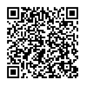 雷斯普顿埃利奥特伊莫维奇汤普森华莱士比索尔诺维奇加斯基……二维码生成