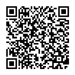 雷族老者一脸恭敬的朝着温文尔雅的青年男子道歉的模样惊呆在在场所有众人二维码生成