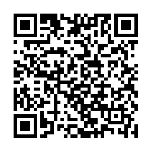 雷星峰毫不犹豫的一把将腾远手中的剩下的全部拿走二维码生成