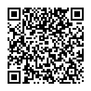 雷林也想不到对方为什么会培养这种只有侦查能力的生物作为自己的契约伙伴二维码生成