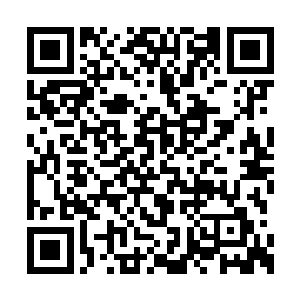 雷林也没有见到哪个店铺敢公开售卖学徒奴隶的二维码生成