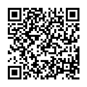 雷林从已经半残的光头蝮蛇身上搜出他刚刚获得的物资二维码生成