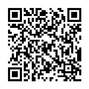 雷林伴随着贝鲁塞巴布将它的人生重新经历了一遍二维码生成