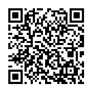 雷林则是看着自己手上散发着迷蒙光彩的血脉试管二维码生成