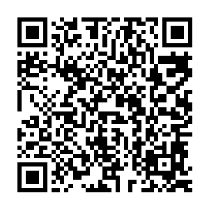 雷林发现前面的莫比乌斯分部里面不仅有着好几名大地级别的祭司二维码生成