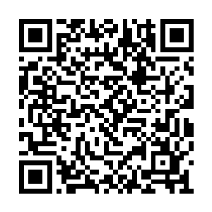 雷林可以感觉到一个强大的生命波动在溶洞当中二维码生成