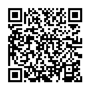 雷林在原本属于法雷尔家族的城堡里面待了数日二维码生成