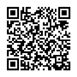 雷林大人的嫡传血脉有着两种外在形式――第一种是无限二维码生成