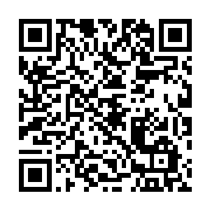 雷林将一份高级疗伤药剂还有一瓶高级宁静药剂递给芙蕊二维码生成