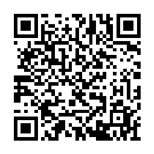 雷林就不由回忆起了上次见过的独目龙一族强者二维码生成