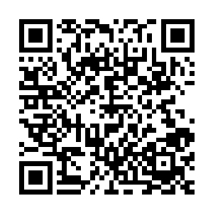 雷林已经将地底人类的一些生活习惯和习俗以及说话方式摸透二维码生成